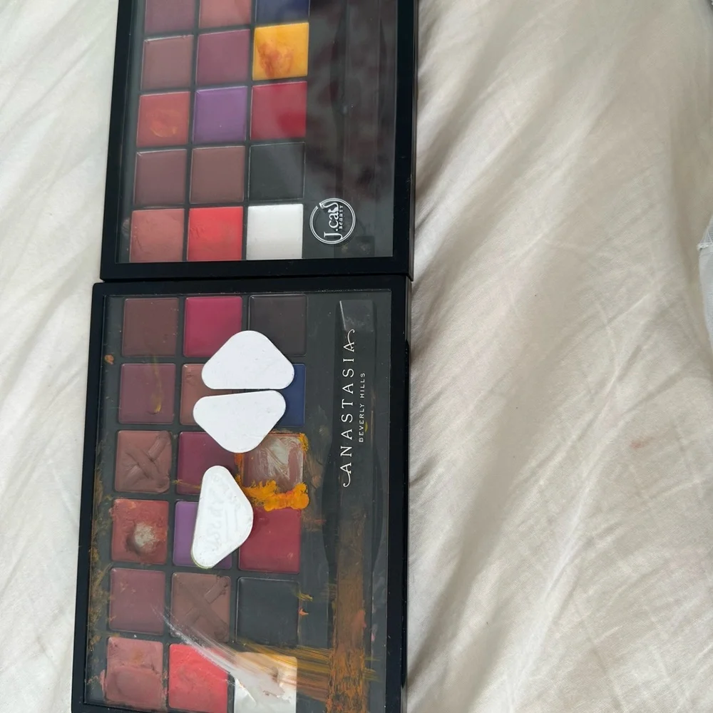 Anastasia Lip & J Cat Palette —Multi-Shade Lip Color Set - Picture 1 of 3